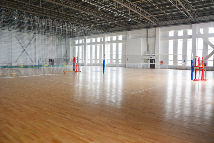 排球馆h.jpg